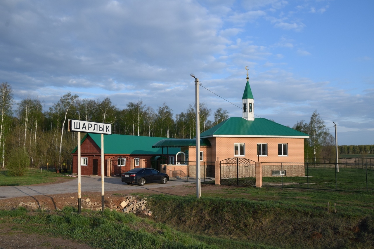 парк луна шарлыкский район зимой